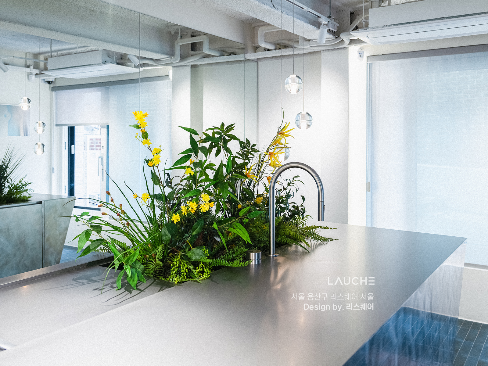 https://www.lauche.co.kr/data/file/m02_01/1935221681_l1dV3zDx_0382b7319ce640e5a6f208fe94216e65837045ae.jpg